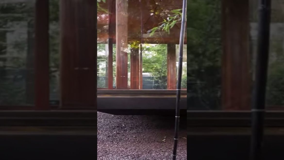 #gardening #shortvideo #indoorgarden #tiktok #trending #gardentastic #viral #shorts