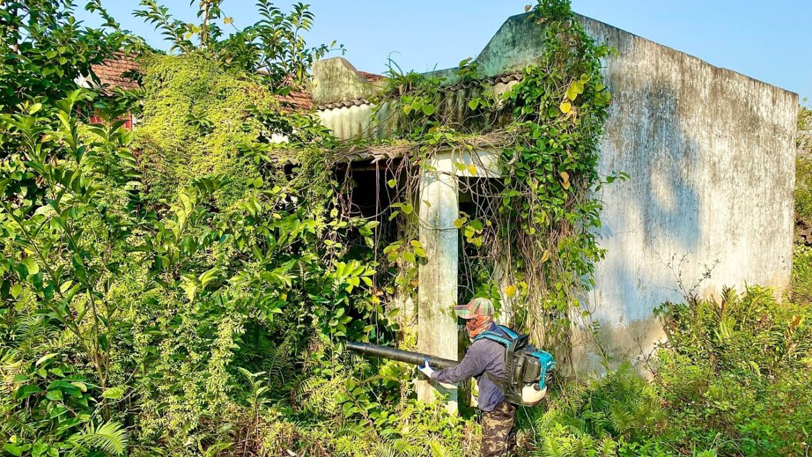 SURPIRISED with 100 YEAR old house overgrown with grass we helped transformation CLEAN UP this mess SURPIRISED with 100 YEAR old house overgrown with grass we helped transformation CLEAN UP this mess