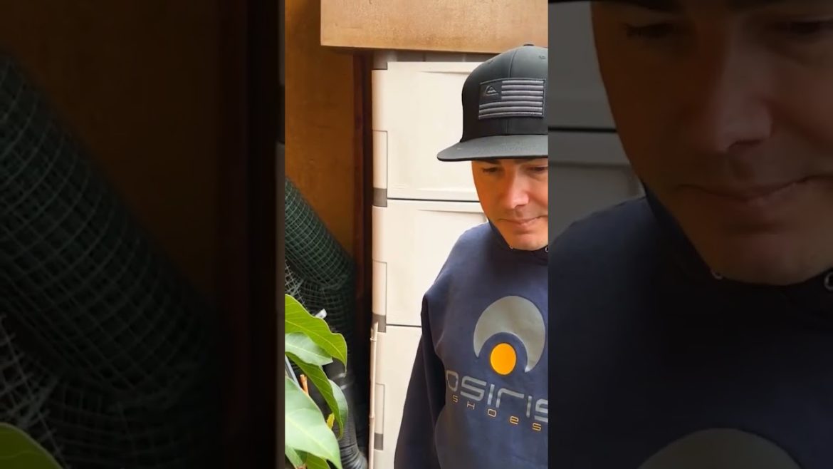 DRAGON FRUIT GREENHOUSE DRAGON FRUIT GREENHOUSE