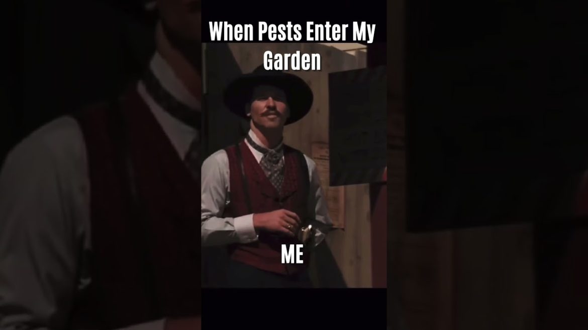I’m Your Huckleberry‼️ #shorts #gardening #trending #memes I’m Your Huckleberry‼️ #shorts #gardening #trending #memes
