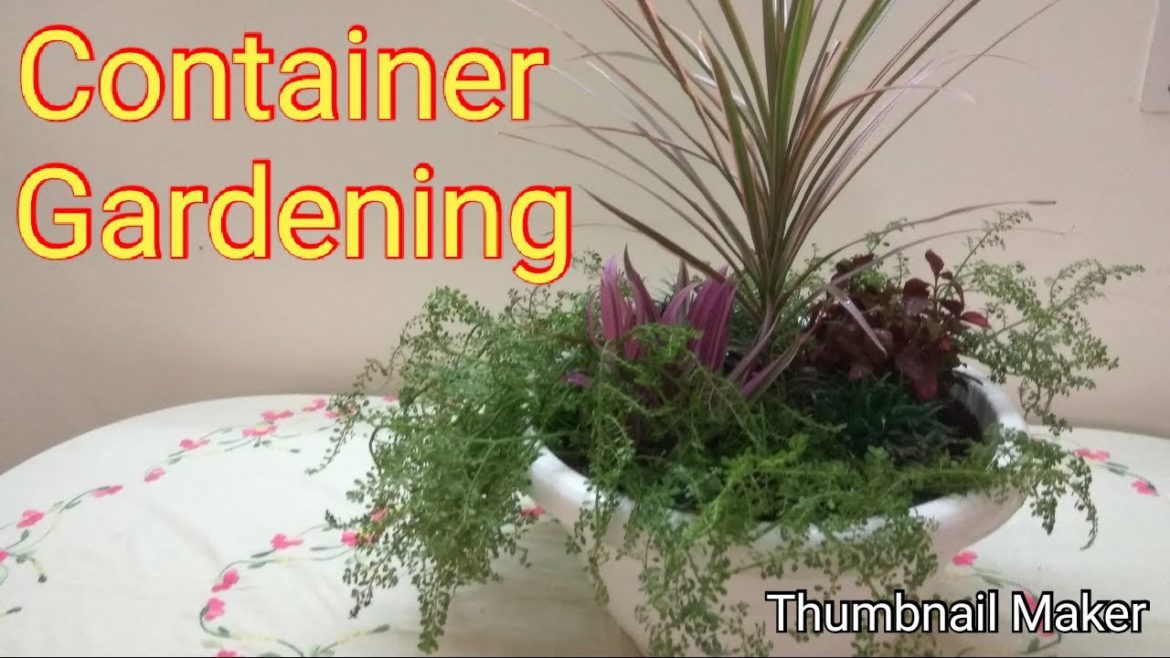 Container gardening ideas with 5 simple steps
