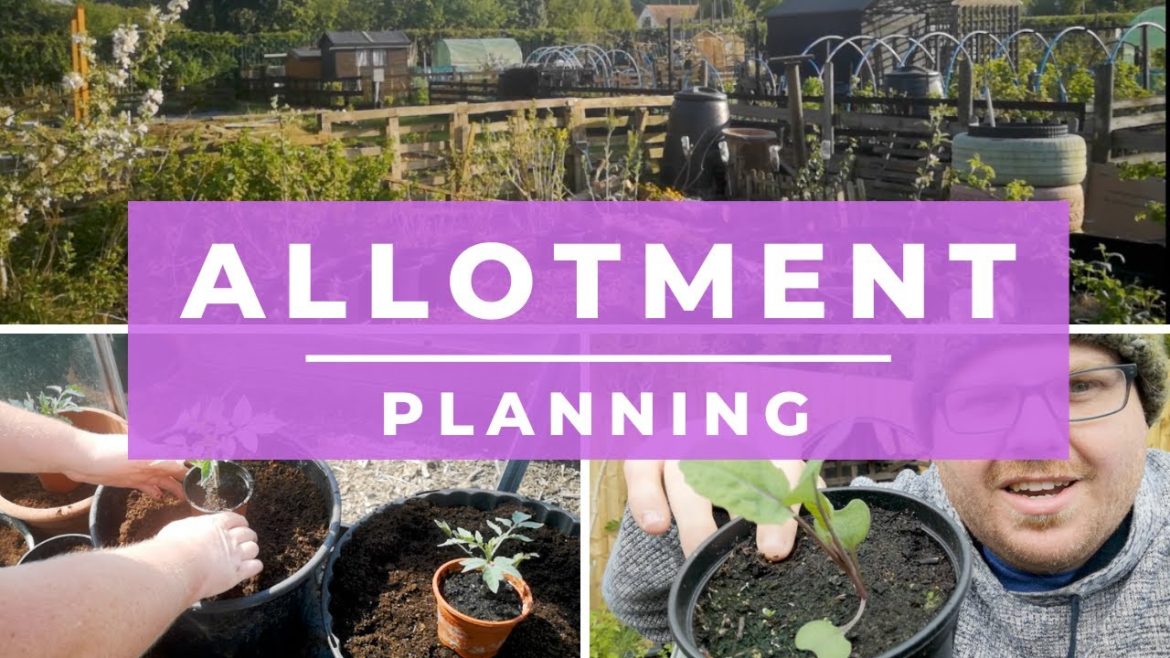 Planning your new allotment - Allotments for beginners - vegetable gardening