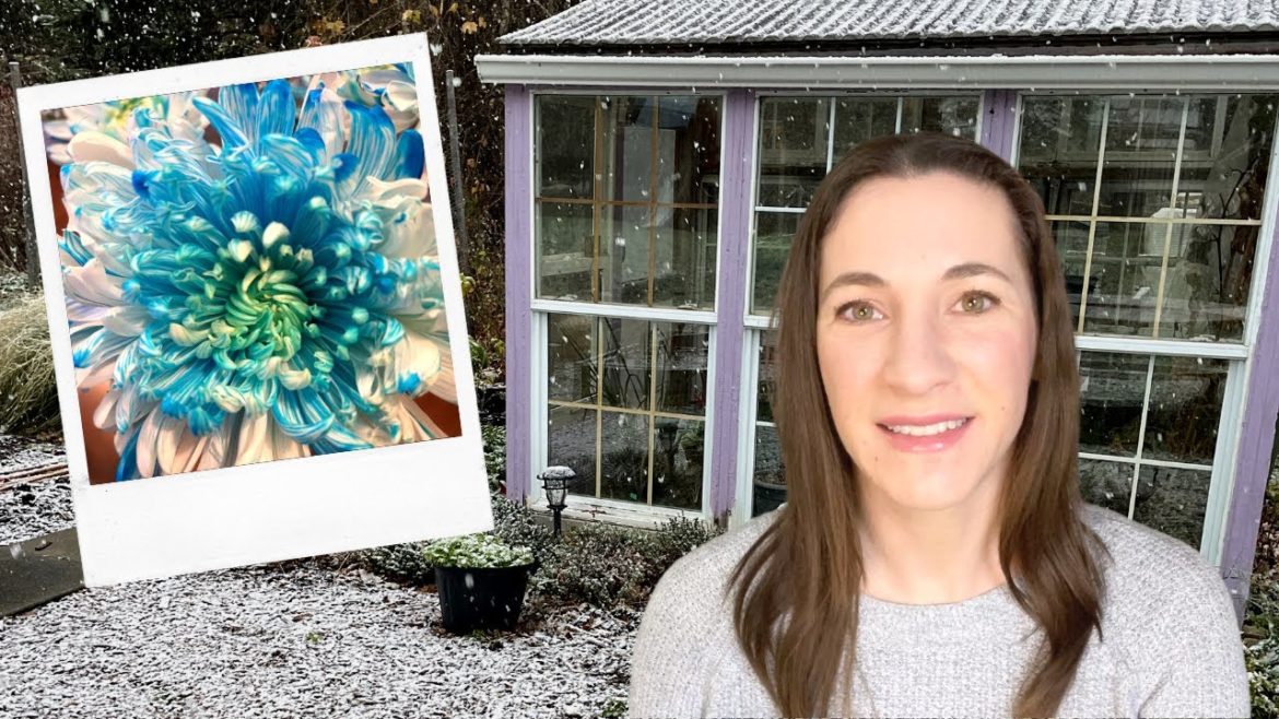 Taking a Master Gardening Course! The BEST thing to do for your Garden this Winter is to Learn! ❄️ Taking a Master Gardening Course! The BEST thing to do for your Garden this Winter is to Learn! ❄️