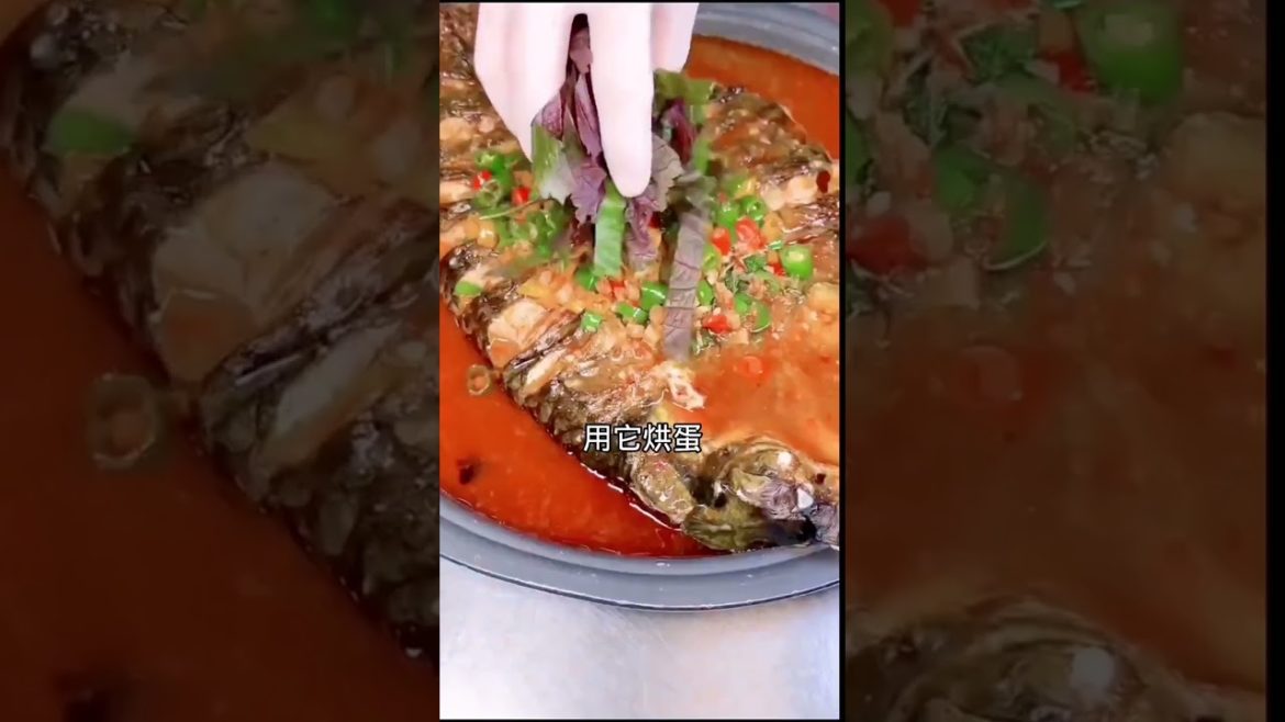 how to growth vegetable /gardening ideas for home