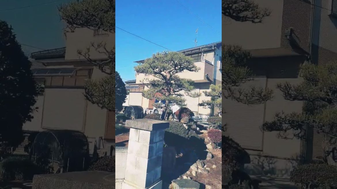 Japanese traditional house