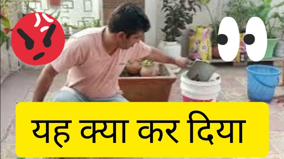 December gardening Work । gardening work in winter #gardeningtips #gardenwork