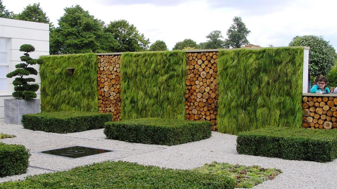 Landscaping ideas: hedge! 80 beautiful examples!