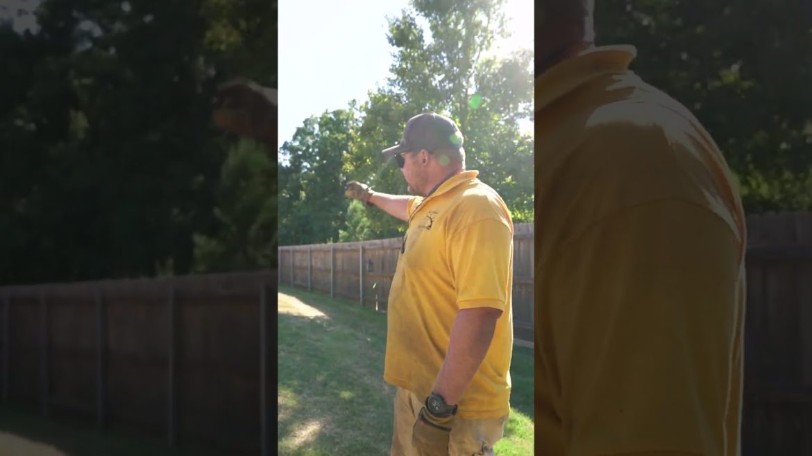 Outdoor Landscaping Company TikTok/Reels/Shorts Example