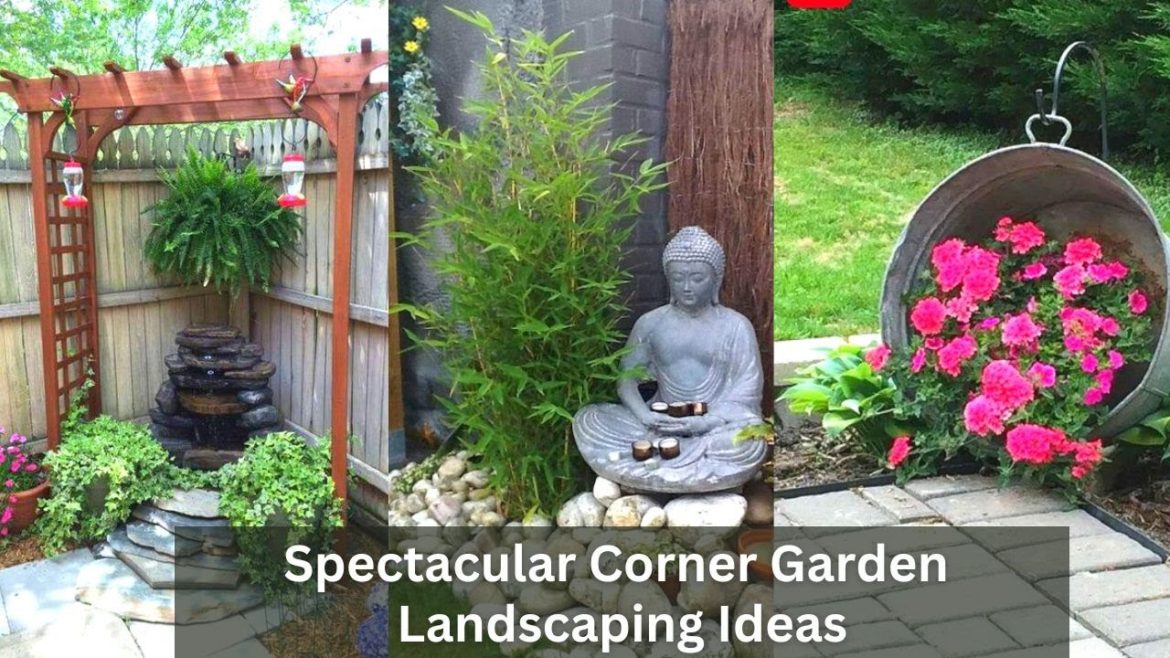 ways to make better use of yard corners|Corner garden Ideas and Designs|#garden | #landscaping | DIY ways to make better use of yard corners|Corner garden Ideas and Designs|#garden | #landscaping | DIY