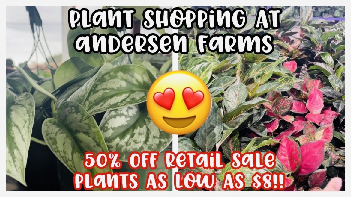Plant Shopping at Andersen Farms || 50% Off Retail Sale || $8 Plants || Plantmas Day 20