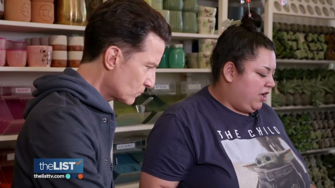 Cacti Terrarium Cacti Terrarium