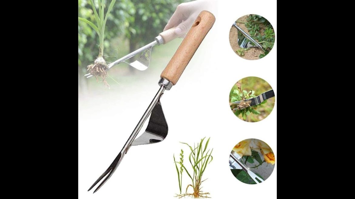 Labor-saving Designed Weed Removal Tool: Best Garden Hand Weeder #Shorts