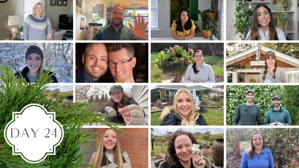 Holidays in the Garden Day 24! :: Our 2022 Garden Top Performers from Zones 3 Through 9B! Holidays in the Garden Day 24! :: Our 2022 Garden Top Performers from Zones 3 Through 9B!