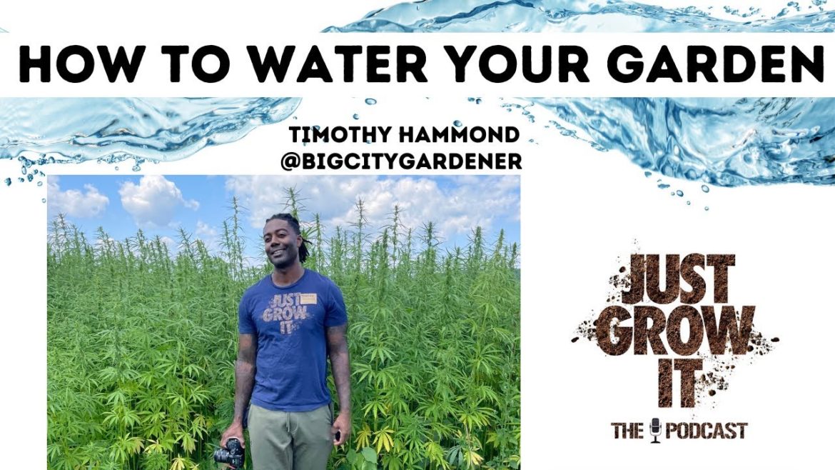 Just Grow It - How to Water Properly | Gardening tips - Big City Gardener