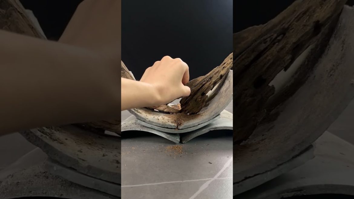 Small Garden Ideas DIY at Home | Miniature Garden | Terrarium Design Ideas | Ep 02 #Shorts Small Garden Ideas DIY at Home | Miniature Garden | Terrarium Design Ideas | Ep 02 #Shorts