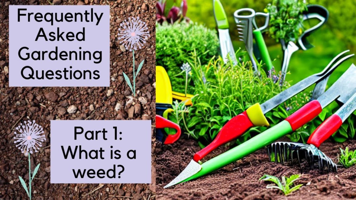 What is a Weed? Gardening Tips for Weed Control What is a Weed? Gardening Tips for Weed Control
