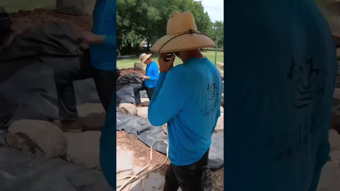 8x10 Arizona BACKYARD POND