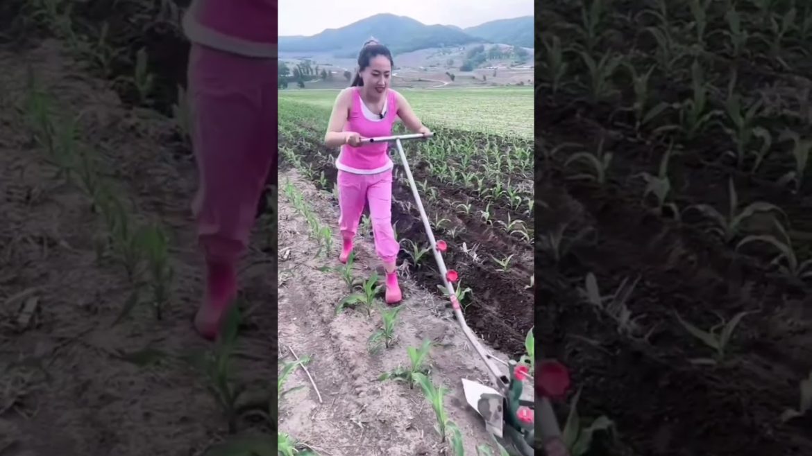 Amazing gardening equipment #shorts #equipment #tools