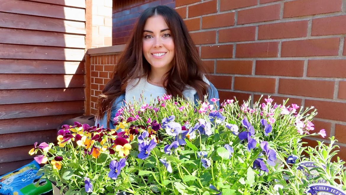 Planting Spring Flowers & Sowing Carrots | Container Gardening Planting Spring Flowers & Sowing Carrots | Container Gardening