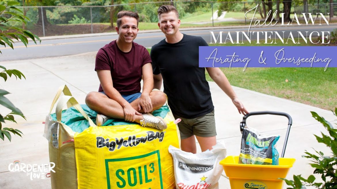 Fall Lawn Maintenance | Aerating & Overseeding Tall Fescue Grass | Gardener in Love