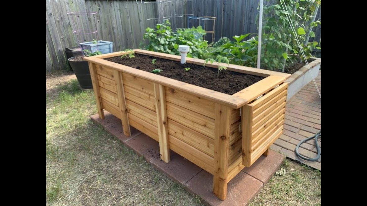 New Sub-Irrigated Garden Beds: Backyard Garden Update #2 New Sub-Irrigated Garden Beds: Backyard Garden Update #2