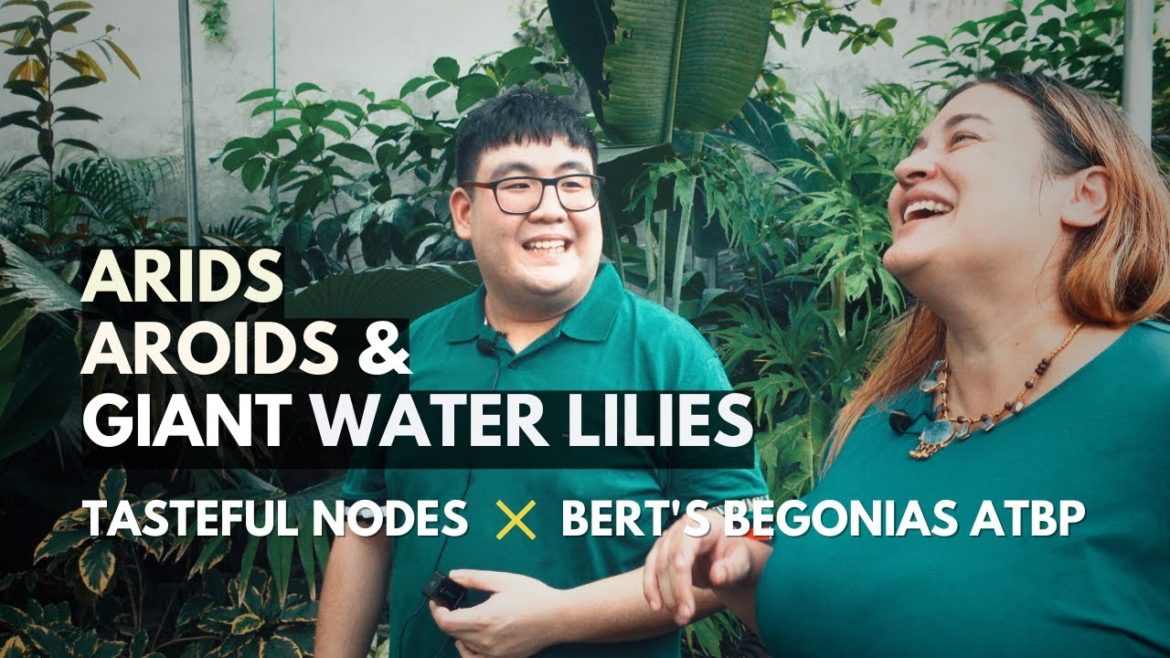 PLANTSPOTTING | Albert Howell Tang's Outdoor Garden: Arids, Aroids, & the World's Largest Water Lily