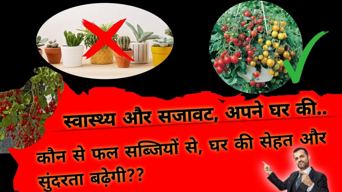 How to Decorate Your Home with Fruits and Vegetables l Crop Cultivation in Hanging Baskets