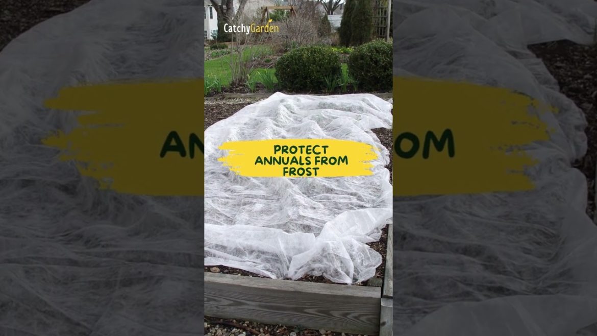 5 Simple Steps for Preparing Garden for Winter Season 🌿🌲 // #short #shorts