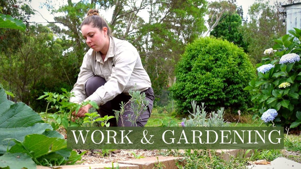 Pruning Tomatoes, Work & Visiting Bomaderry Creek 🌿🍅 Daily Vlog | Vlogmas Day 16