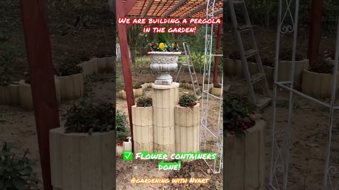 Planting containers for the pergola project!  #shorts