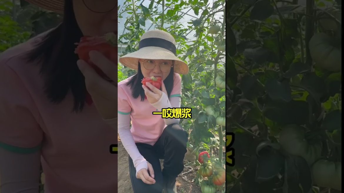 how to growth vegetable /gardening ideas for home