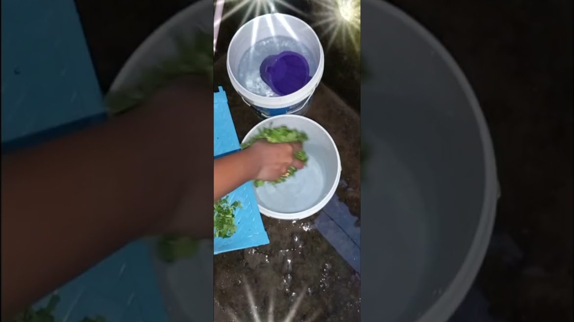 వంటింటి చిట్కాలు.  Small kitchen ideas