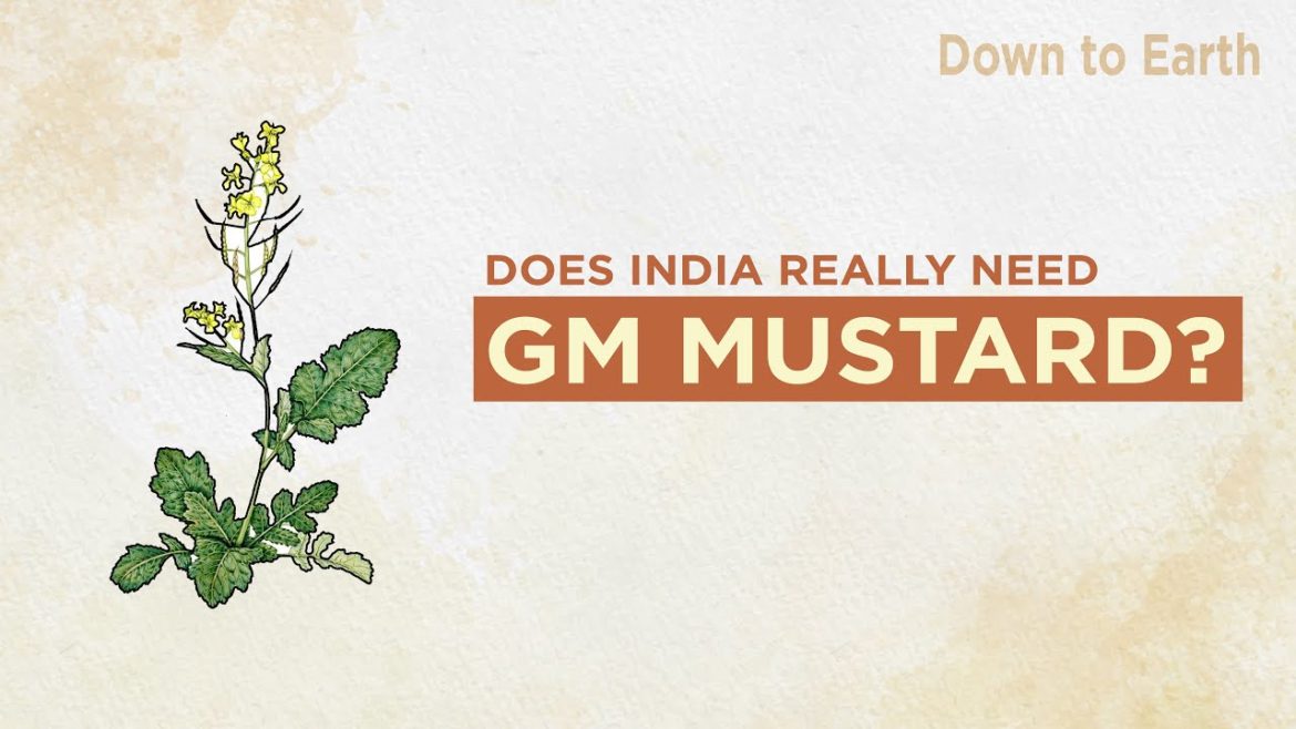 Does India really need GM Mustard?