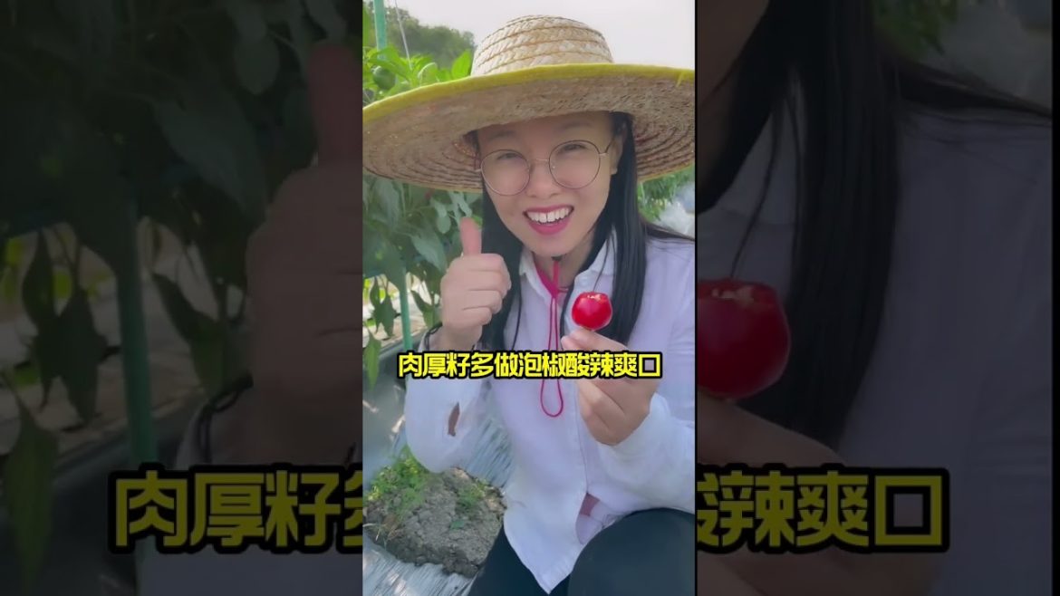 how to growth vegetable /gardening ideas for home how to growth vegetable /gardening ideas for home