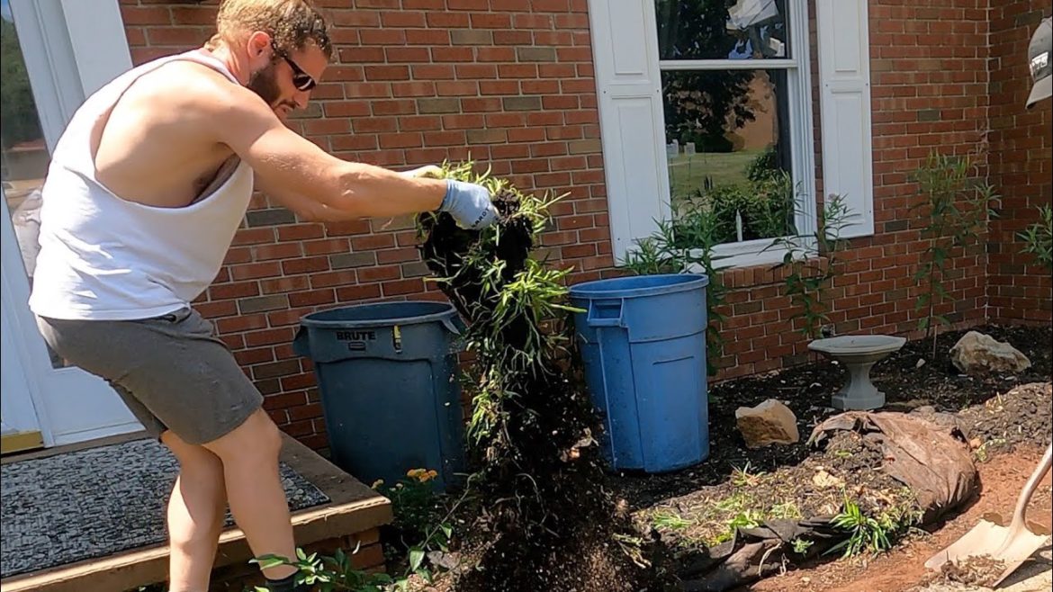 Removing WEED-RIDDEN landscape FABRIC Removing WEED-RIDDEN landscape FABRIC