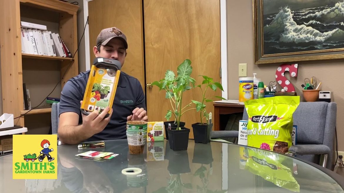 Vegetable Gardening? Seeds versus Transplants, Michael Explains. Vegetable Gardening? Seeds versus Transplants, Michael Explains.