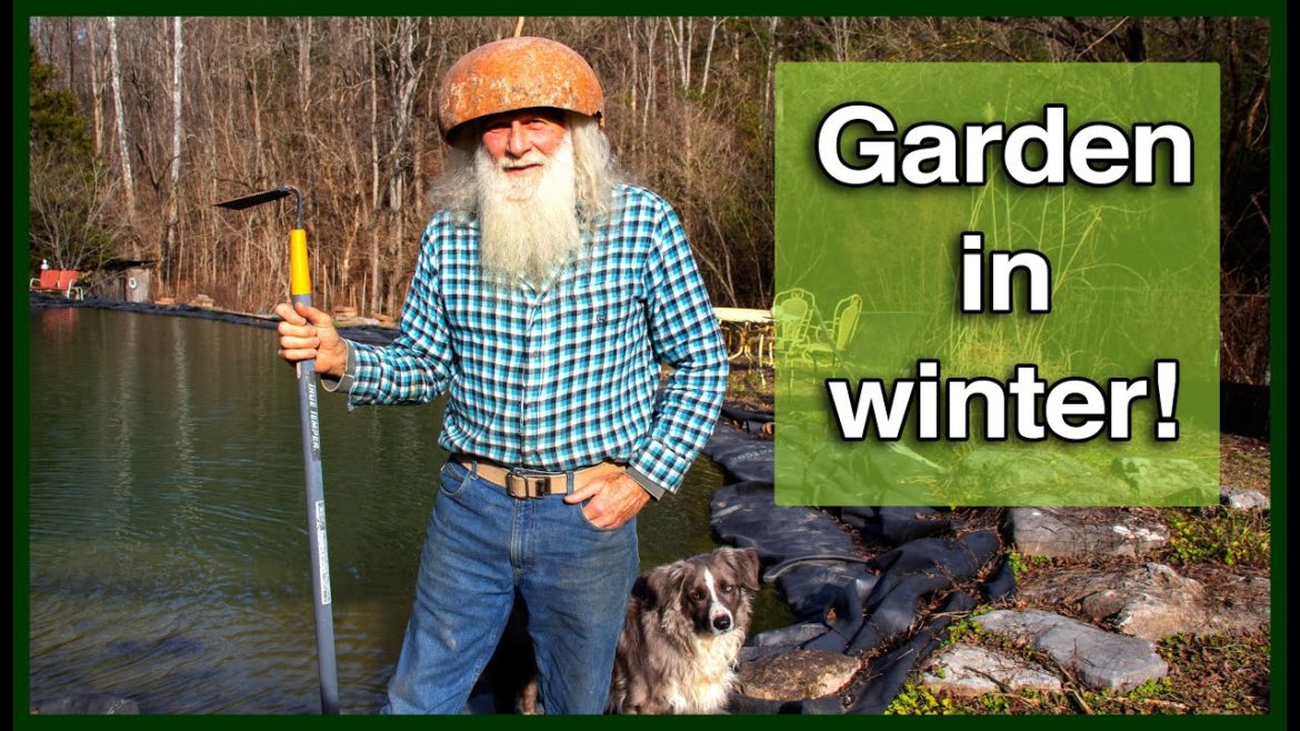 Kaye Kittrell: HOW to GARDEN ALL WINTER! TIPS! HOW to GARDEN ALL WINTER! TIPS!