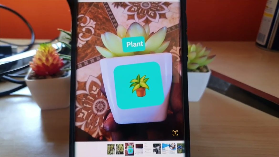 How to Revert Edited Picture to Original on Android How to Revert Edited Picture to Original on Android
