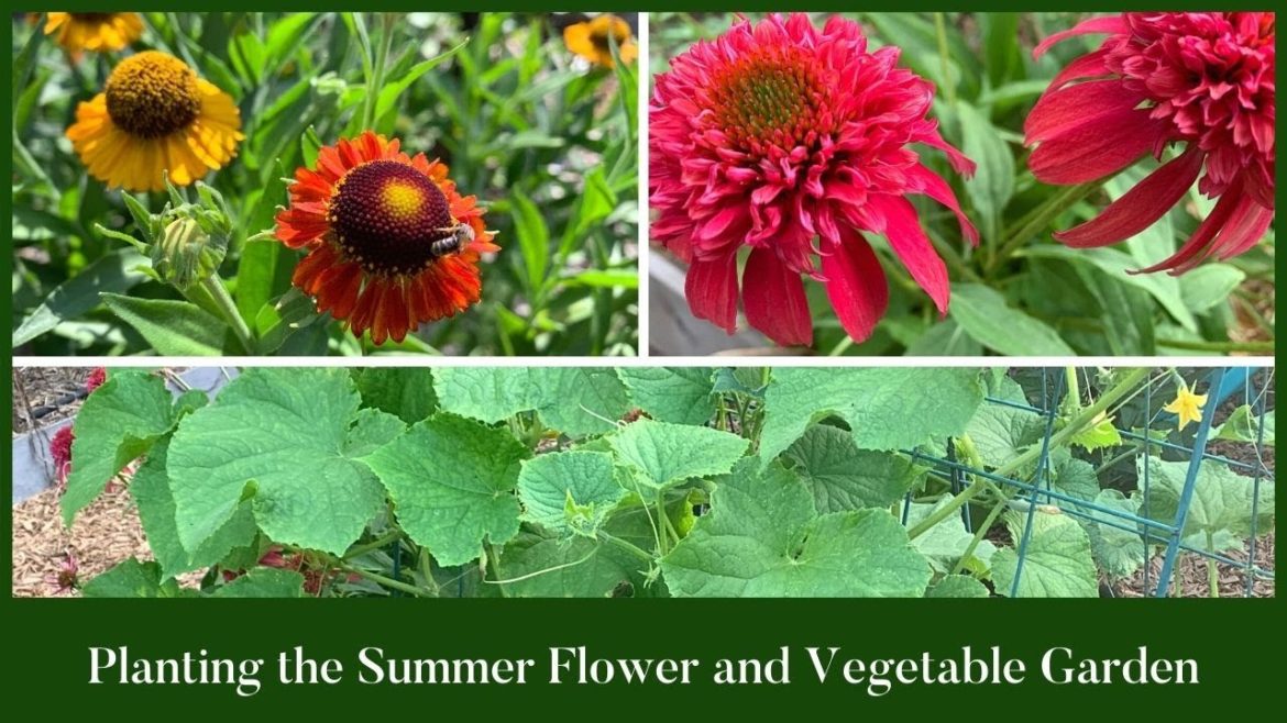 Planting The Summer Vegetable and Flower Garden|Flowers and Vegetable Gardening Planting The Summer Vegetable and Flower Garden|Flowers and Vegetable Gardening