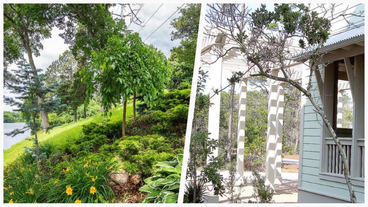 75 Beautiful Backyard Driveway Design Ideas #�1778 �