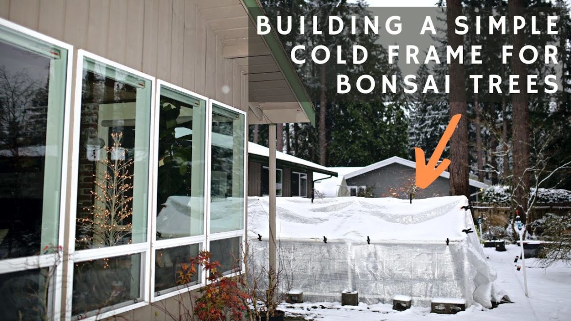 Building a Simple Cold Frame to Protect Deciduous Bonsai Trees