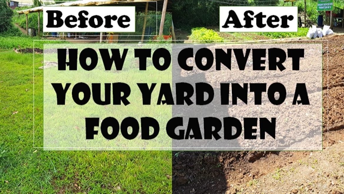 How to Convert Your Backyard into a Food Garden How to Convert Your Backyard into a Food Garden