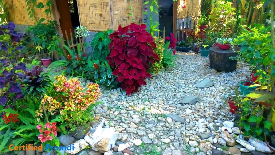 THE GARDEN THAT INFLUENCED MILLION VIEWERS WORLDWIDE