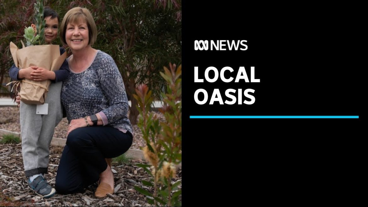 Hobart City Council changes the rules around nature strips, paving the way for creativity | ABC News Hobart City Council changes the rules around nature strips, paving the way for creativity | ABC News