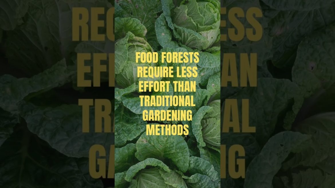 5 reasons you should be growing an edible food forest 🍄 - Food Forest Abundance Minnesota