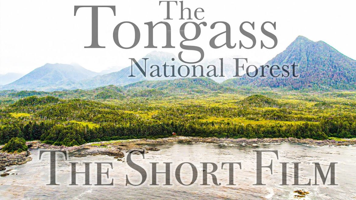 TONGASS NATIONAL FOREST | Earth's Treasure | Short Film TONGASS NATIONAL FOREST | Earth's Treasure | Short Film