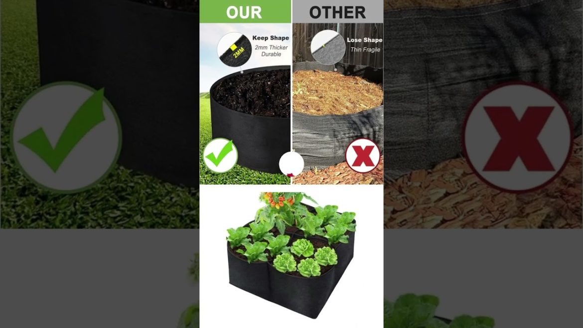 The best fabric garden beds for your home gardens #shorts The best fabric garden beds for your home gardens #shorts