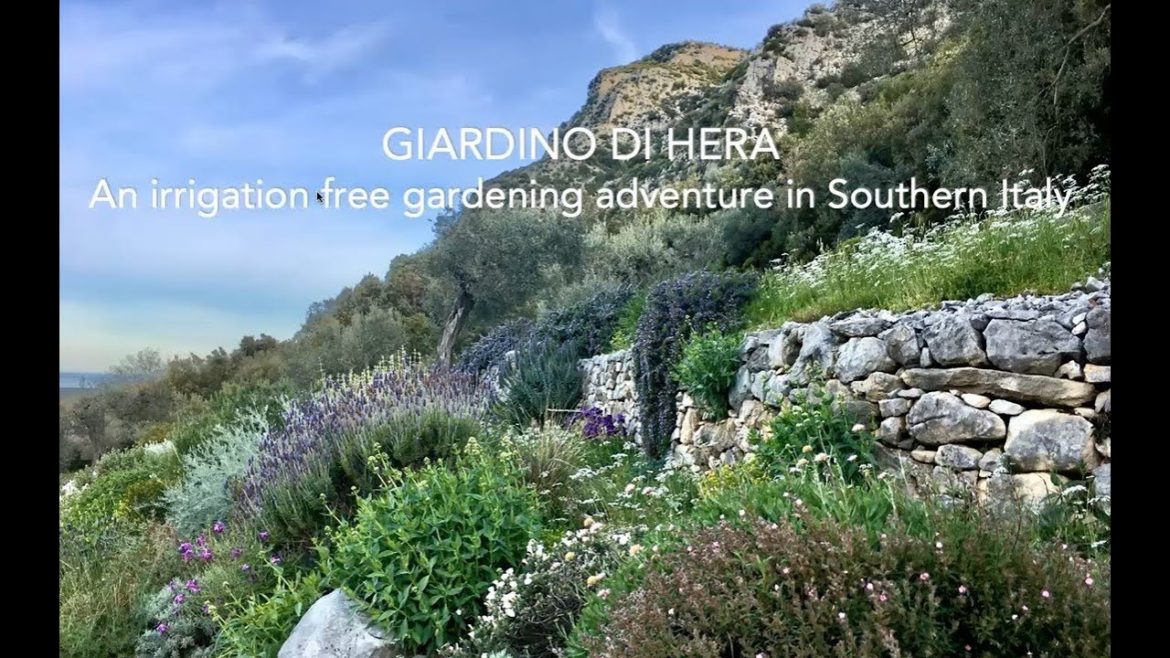 Peter Amman, Journalist, Tour Guide, Botanist &Landscape Ecologist Germany/Italy – 14 December 2022 Peter Amman, Journalist, Tour Guide, Botanist &Landscape Ecologist Germany/Italy - 14 December 2022