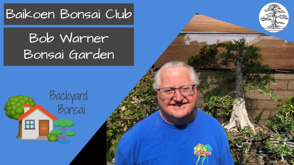 Bob Warner – Bonsai Garden – Baikoen Bonsai Club – Safer @ Home Bonsai Series Bob Warner - Bonsai Garden - Baikoen Bonsai Club - Safer @ Home Bonsai Series