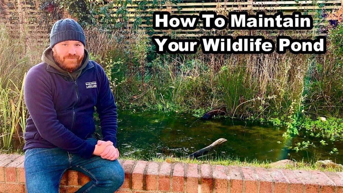 How To Maintain a WILDLIFE POND in Autumn & Winter How To Maintain a WILDLIFE POND in Autumn & Winter